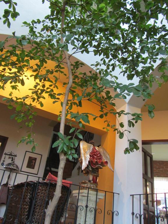 La Colorada Bed & Breakfast Zacualpan ภายนอก รูปภาพ